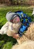 Kind kuschelt mit Schaf